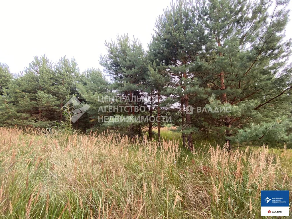 Продажа участка, Фролово, Клепиковский район - Фото 3
