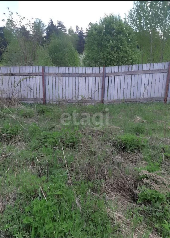 Продажа участка, Щемилово, Богородский г. о. - Фото 7