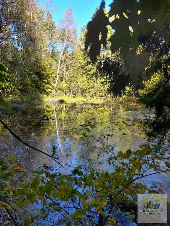 Продается участок 54 км Ленинградского шоссе - Фото 4