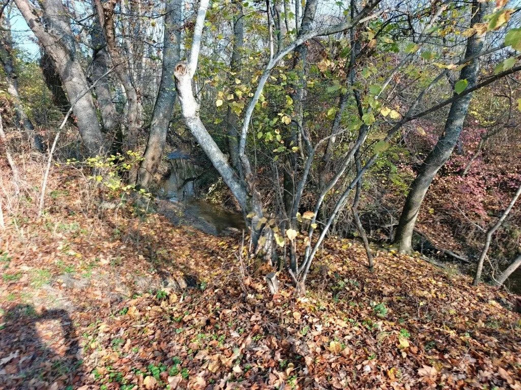 Продажа участка, Бончковский, Северский район - Фото 4