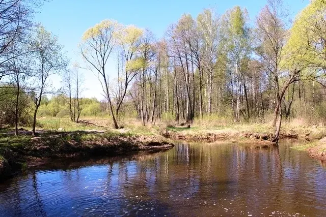 Дом в деревне Иванищево - Фото 6