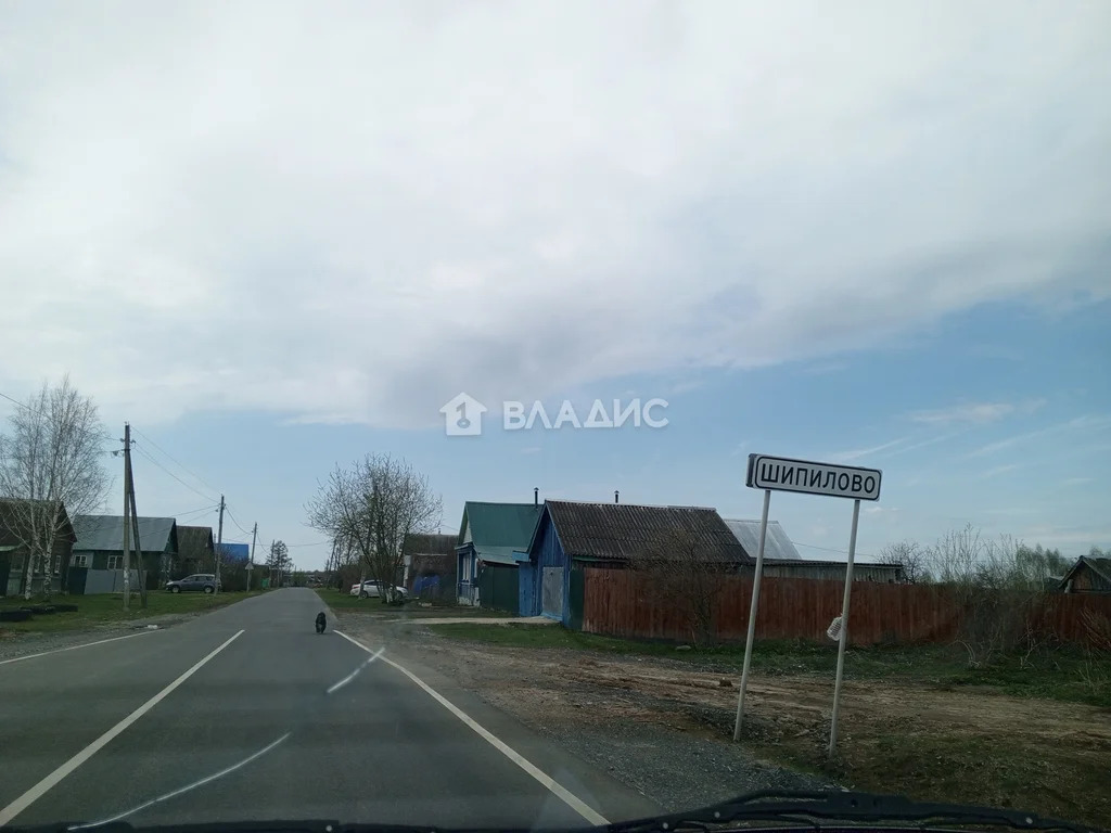 Судогодский район, деревня Шипилово,  земля на продажу - Фото 7