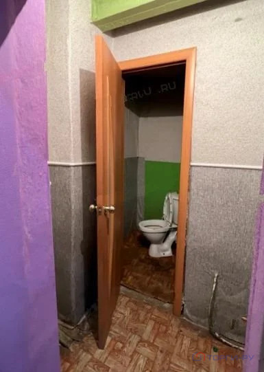 Продажа торгового помещения, Благовещенск, Благовещенский район, ул. ... - Фото 10