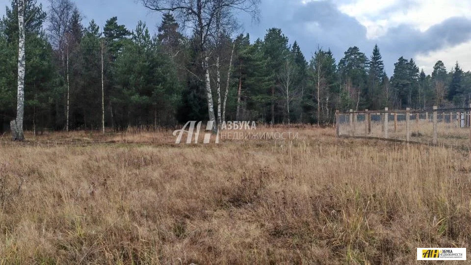 Продажа участка, Ямкино, Богородский г. о. - Фото 0