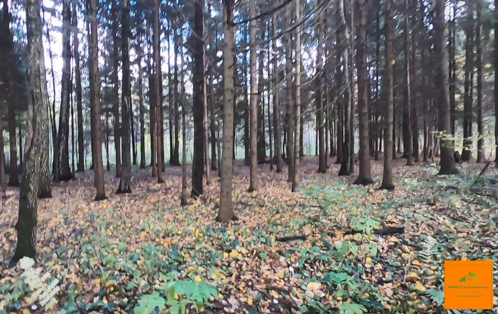 Продажа участка, Плесенское, Наро-Фоминский район - Фото 7