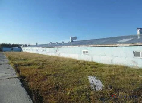 Продажа производственного помещения, Югорск, ул. Малиновая - Фото 4