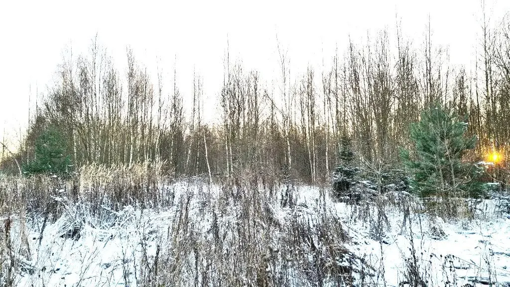 Участки ИЖС на Рублевке в тихом месте, рядом речка и лесной массив - Фото 4