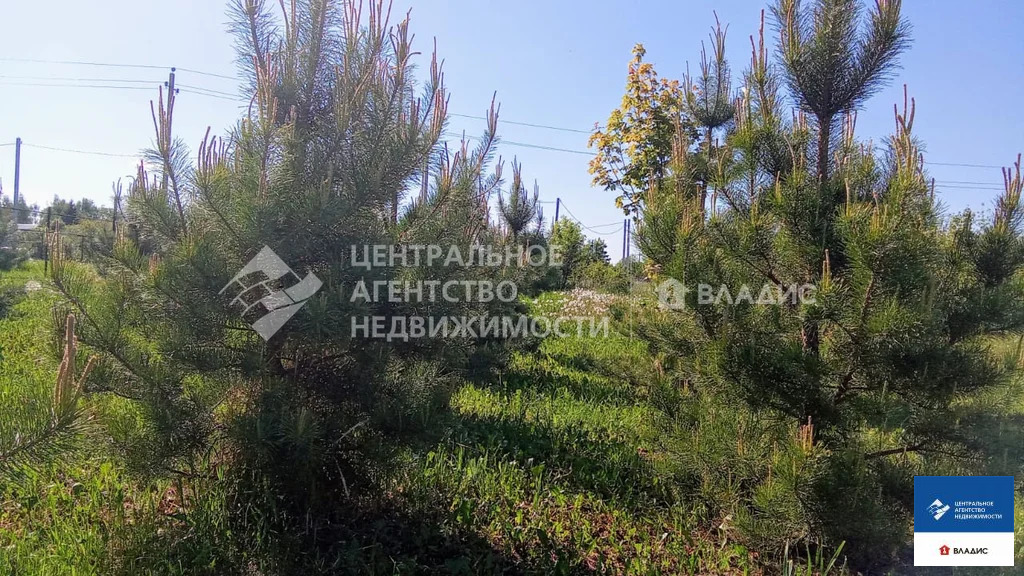 Продажа дома, Рожок, Рязанский район, Полевая улица - Фото 17