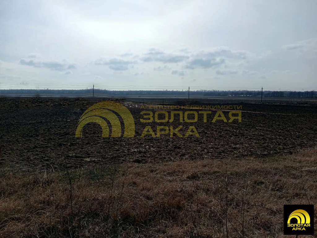 Продажа участка, Стрелка, Темрюкский район, ул. Коммунаров - Фото 5