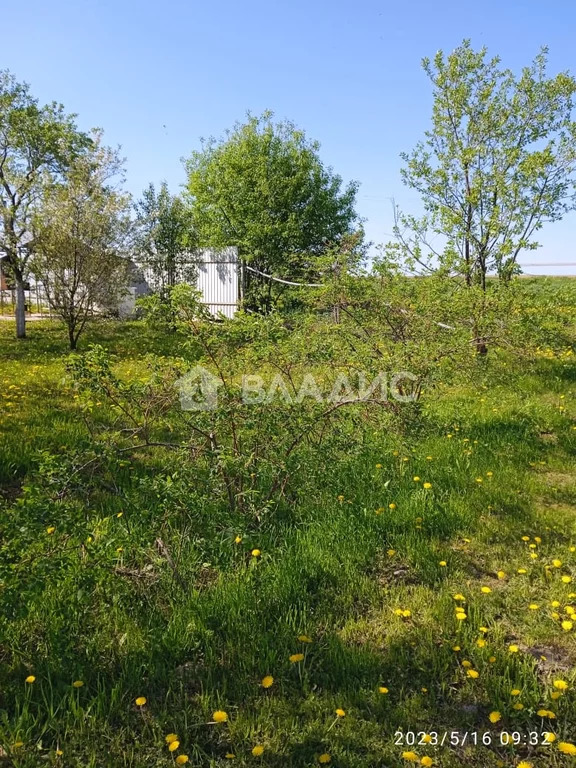 Вязниковский район, деревня Руделёво, земля на продажу - Фото 36