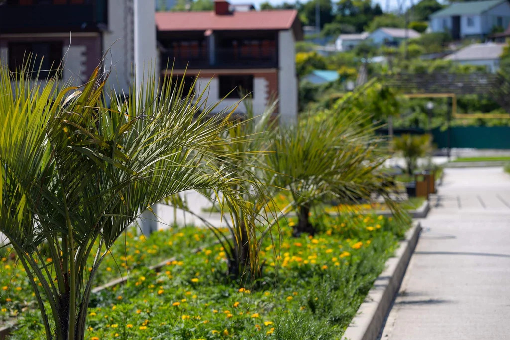 от Застройщика - Таунхаус 88.6 м2в Сочи - Фото 12