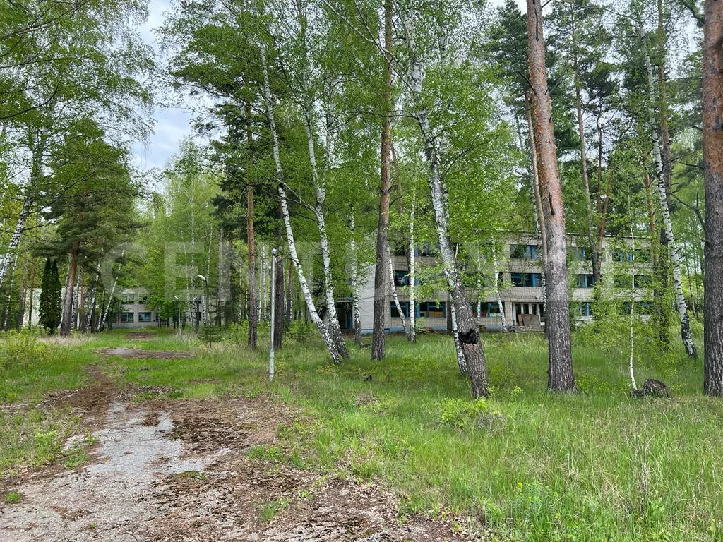 Продажа ПСН, Колодезское, Задонский район, ул. Солнечная - Фото 42