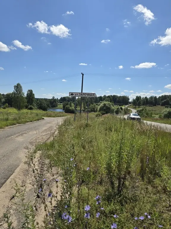 Продаю уч. 30 сот. с Семеновское - Фото 3