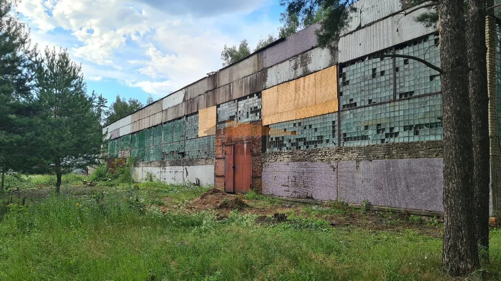 Продажа производственного помещения, Лосино-Петровский, ул. ... - Фото 15