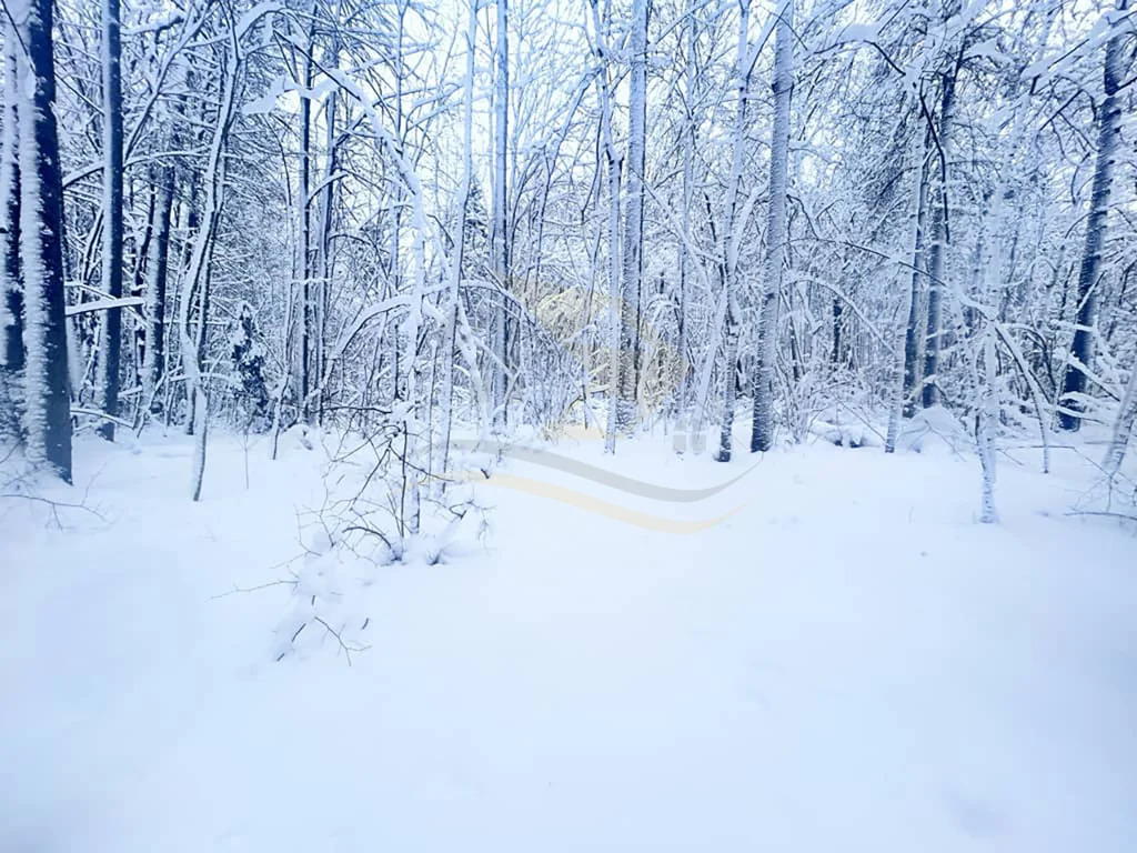 Продажа участка, Сокольники, Дмитровский район - Фото 4