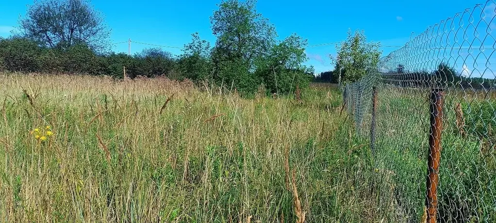 12соток Дмитровский район п.свх.Буденновец. - Фото 2