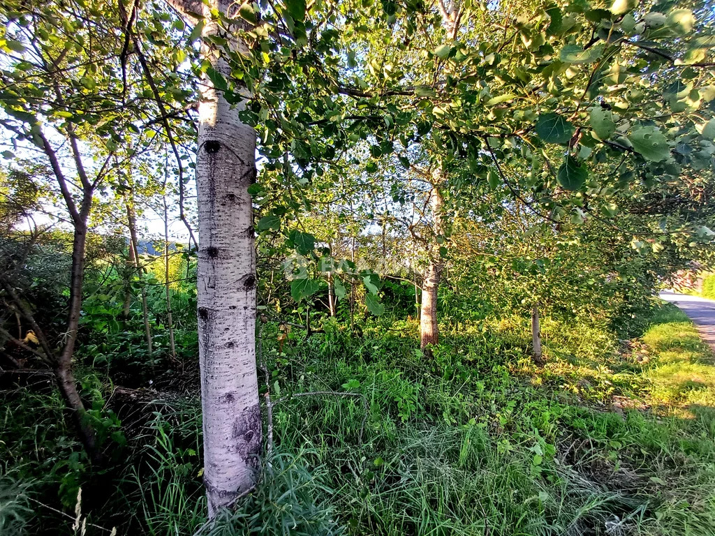 Троицкий административный округ, СНТ Культура,  земля на продажу - Фото 22