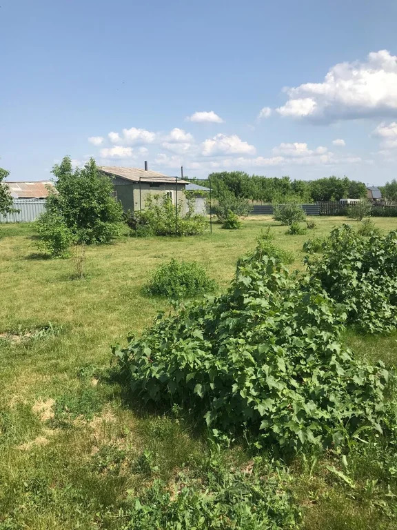 Продажа дома, Красный Яр, Ордынский район, ул. Сибирская - Фото 12