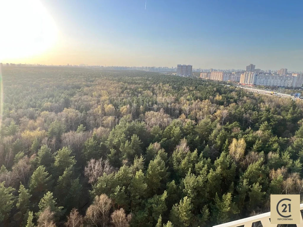 Продажа квартиры, Котельники, улица Сосновая - Фото 0