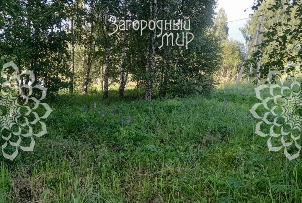 Продам участок, Дмитровское шоссе, 80 км от МКАД - Фото 4