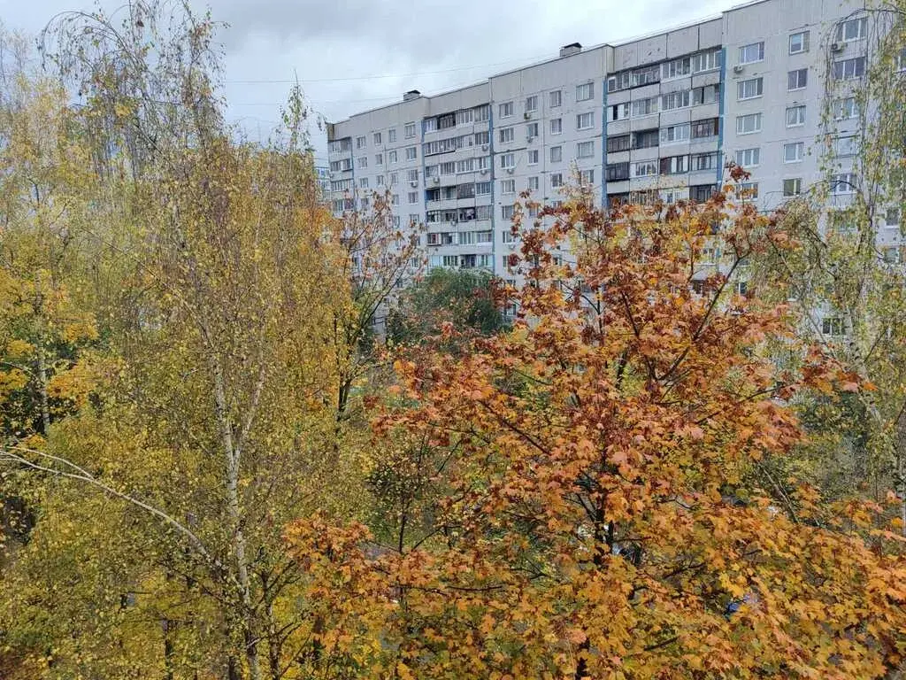 Продается 3-х комнатная квартира в центре г. Королев - Фото 17