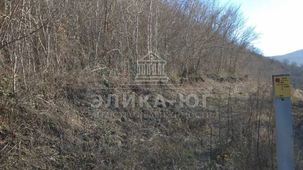 Продажа участка, Новомихайловский, Туапсинский район, Листопадная ул. - Фото 6