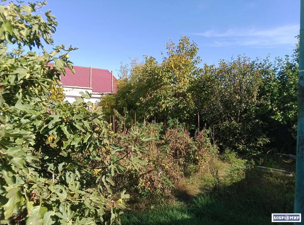 Продается Дом - Фото 3