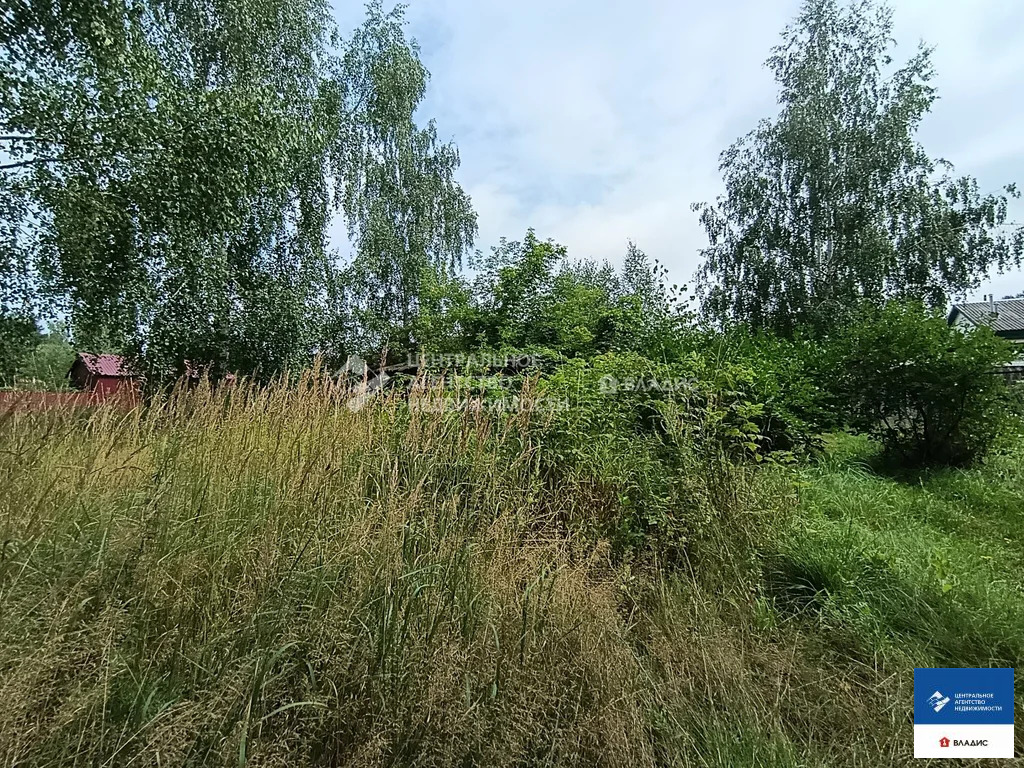 Продажа участка, Тырново, Шиловский район, ул. Зеленая - Фото 9