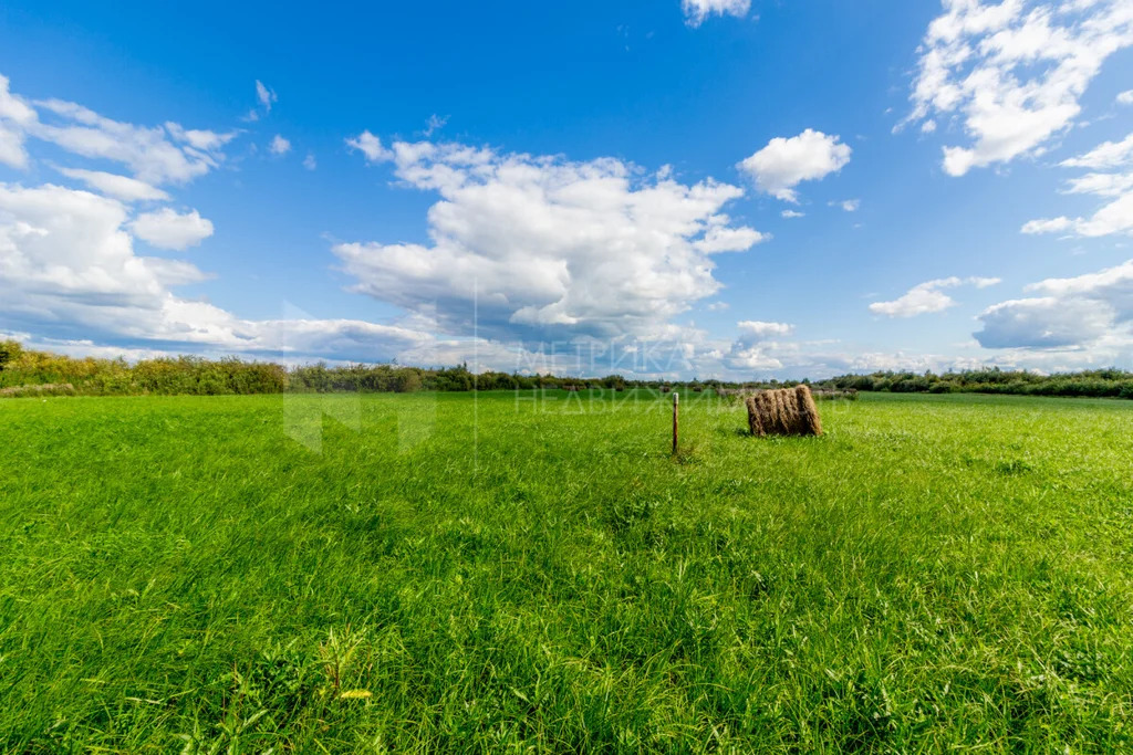 Продажа участка, Есаулова, Тюменский район, Тюменский р-н - Фото 7