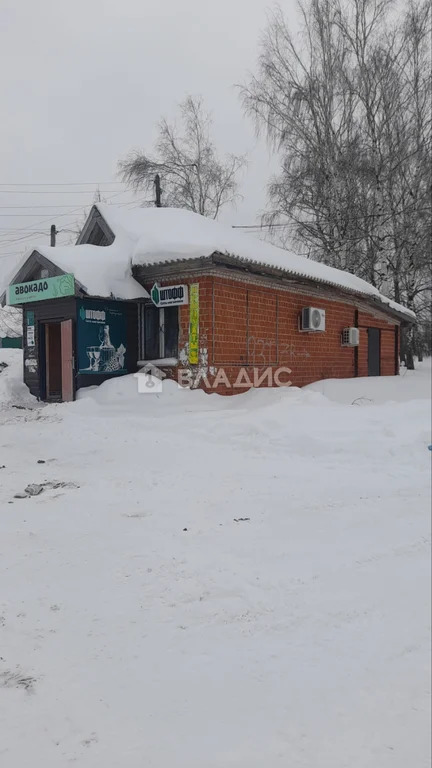 Торговое на продажу, Богородский муниципальный округ, деревня Шуклино, ... - Фото 0