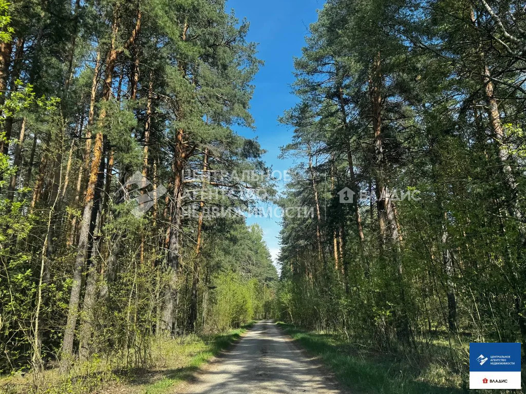 Продажа участка, Фролово, Клепиковский район - Фото 5