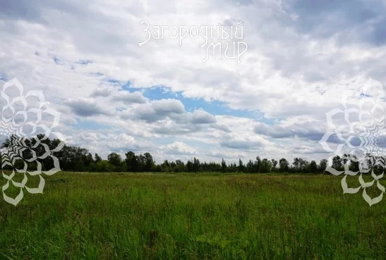 Продам участок, Новорязанское шоссе, 50 км от МКАД - Фото 2