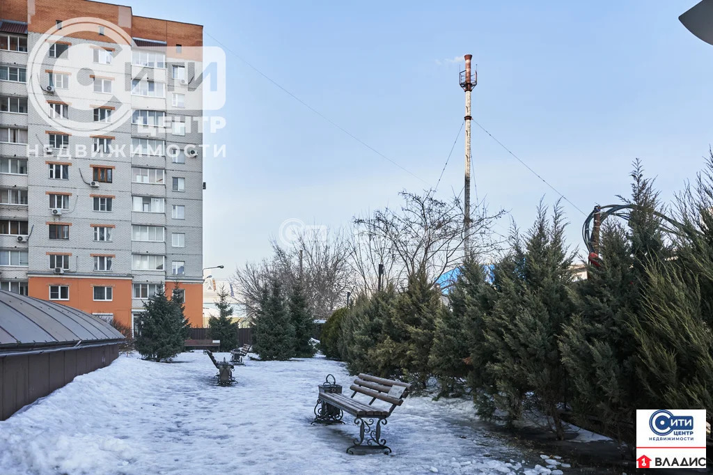 Продажа квартиры, Воронеж, ул. Средне-Московская - Фото 28