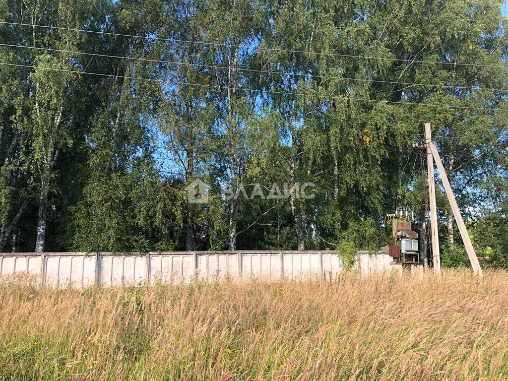 Лежневский район, деревня Козино,  дом на продажу - Фото 3