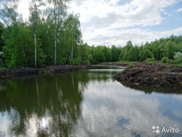 Авито новогуровский