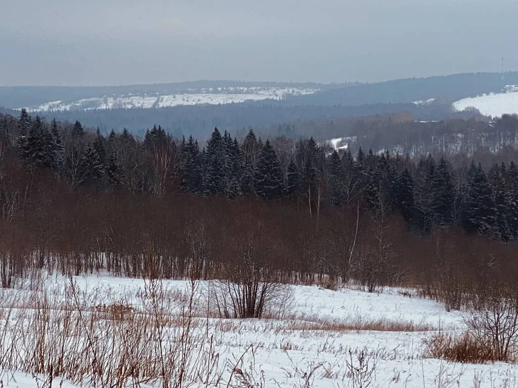 Продажа участка, Дмитровский район - Фото 3