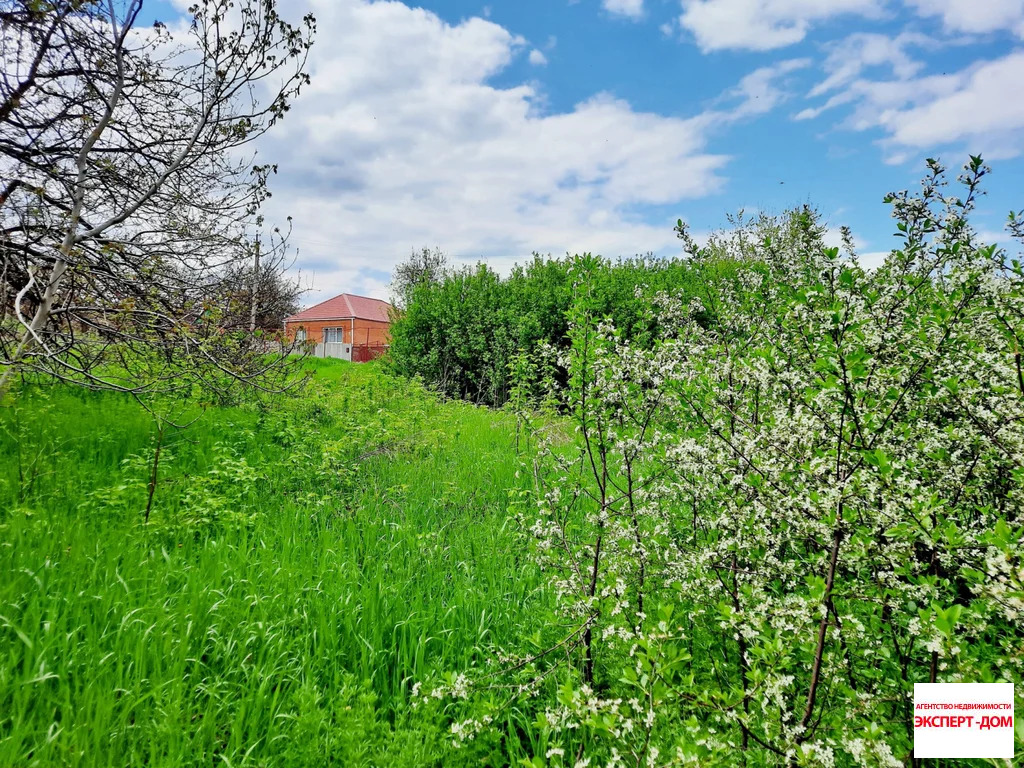 Продажа дома, Ряженое, Матвеево-Курганский район, ул. Западная - Фото 11