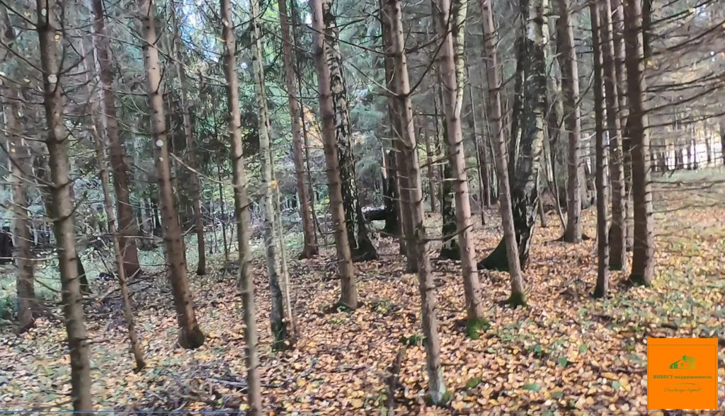 Продажа участка, Плесенское, Наро-Фоминский район - Фото 5