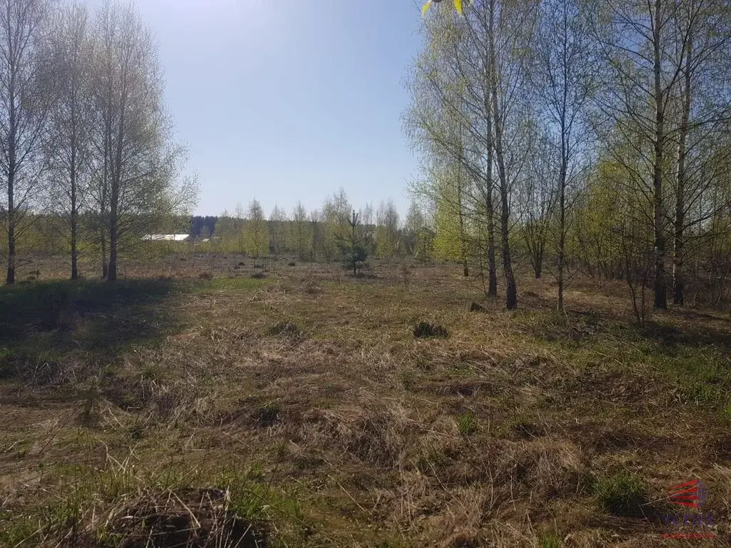 Продаётся участок 10 сот. Раменский район, д. Панино, КП "Панино" - Фото 1