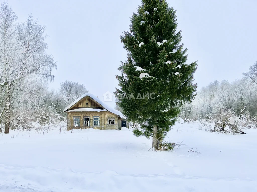 Гаврилово-Посадский район, село Владычино,  дом на продажу - Фото 3