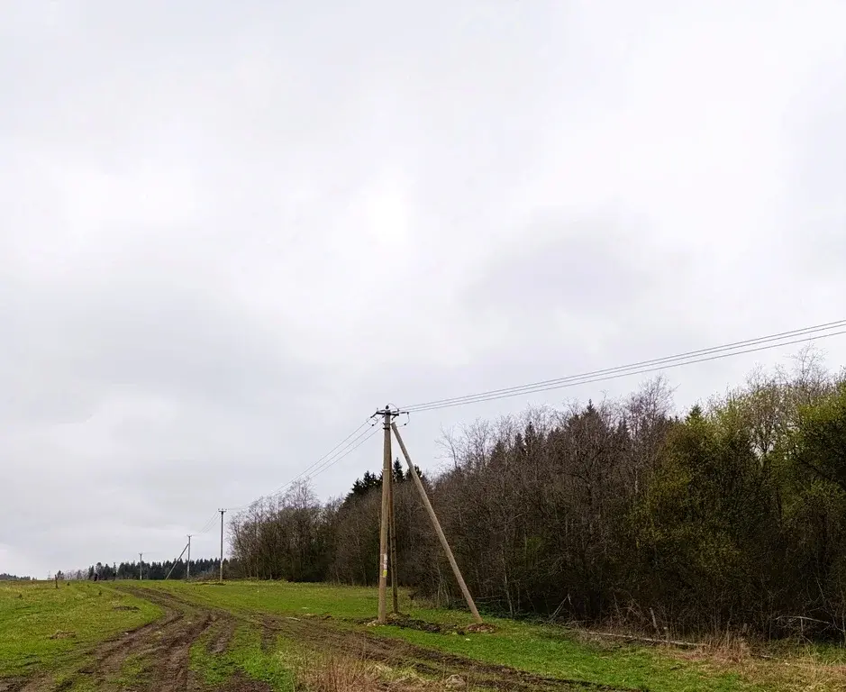 Продам участок 166с сельхоз/назначения - Фото 5