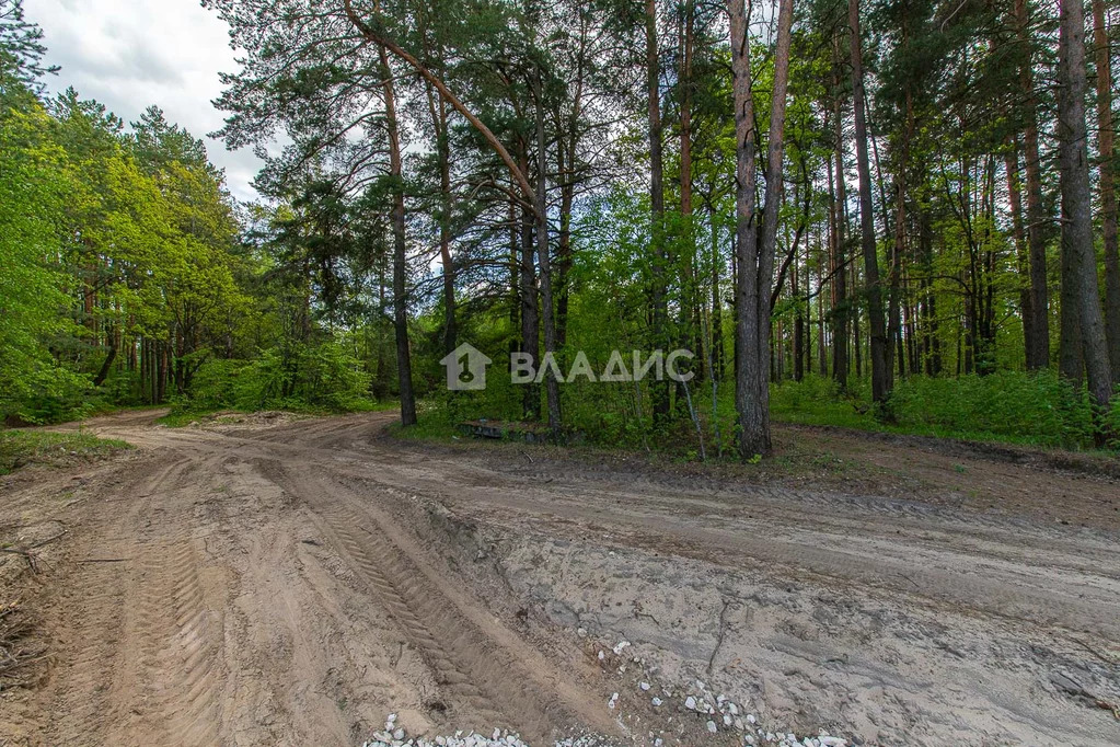 Судогодский район, коттеджный посёлок Ладога нью, земля на продажу - Фото 1