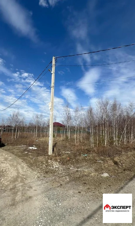 земельный участок - Фото 4