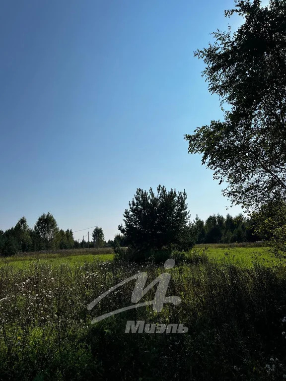 Продажа участка, Бисерово, Богородский г. о. - Фото 6