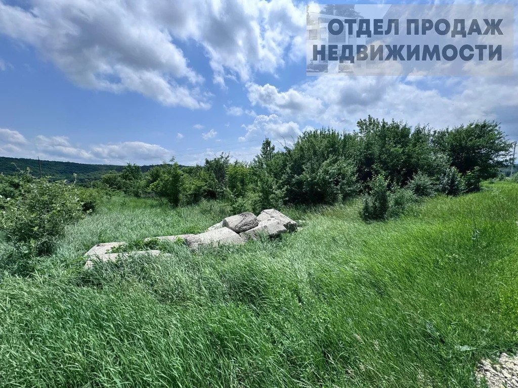 Большой участок - Фото 4