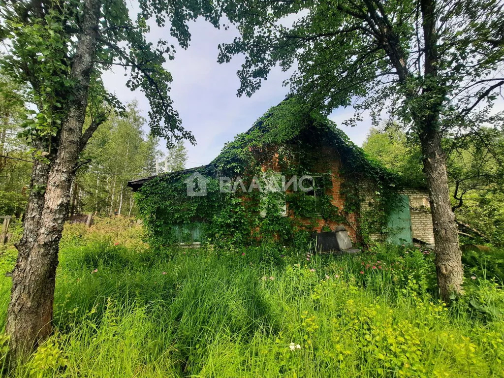 Судогодский район, деревня Луньково, Центральная улица, дом на . - Фото 8