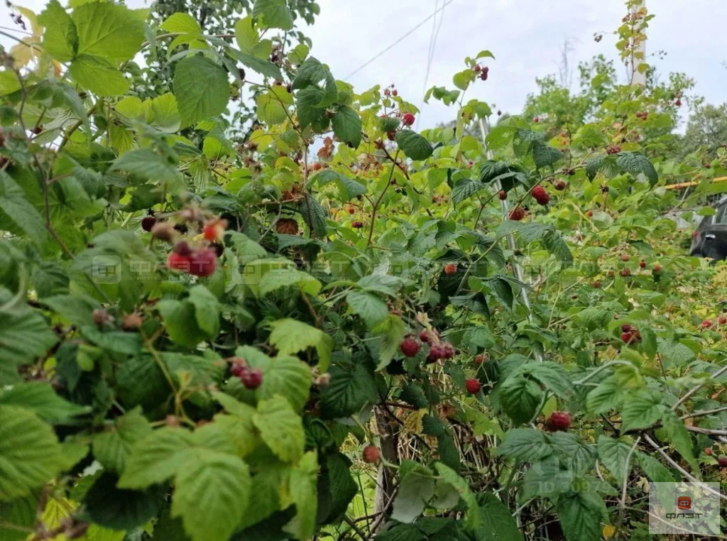 Продажа дома, Казань, садоводческое дачное товарищество Дружба - Фото 30
