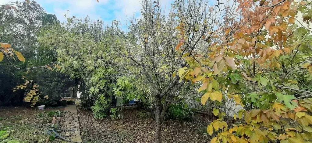 Дача 52 м на участке 4,1 сот. - Фото 3