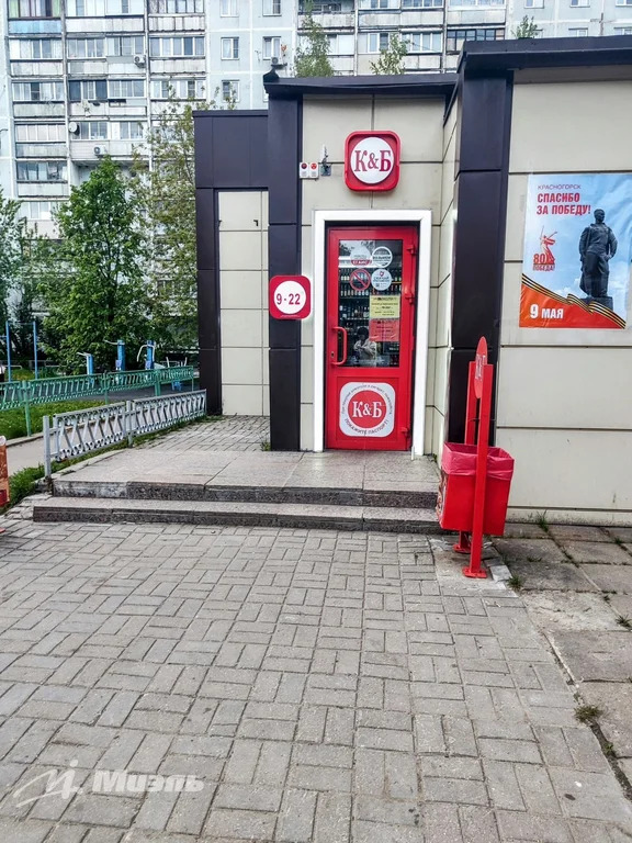 Объект 553623 - Фото 3