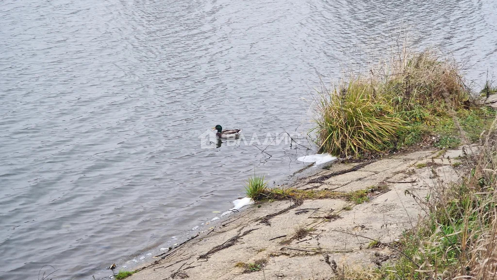 городской округ Владимир, село Мосино, Ленинский район,  земля на ... - Фото 10